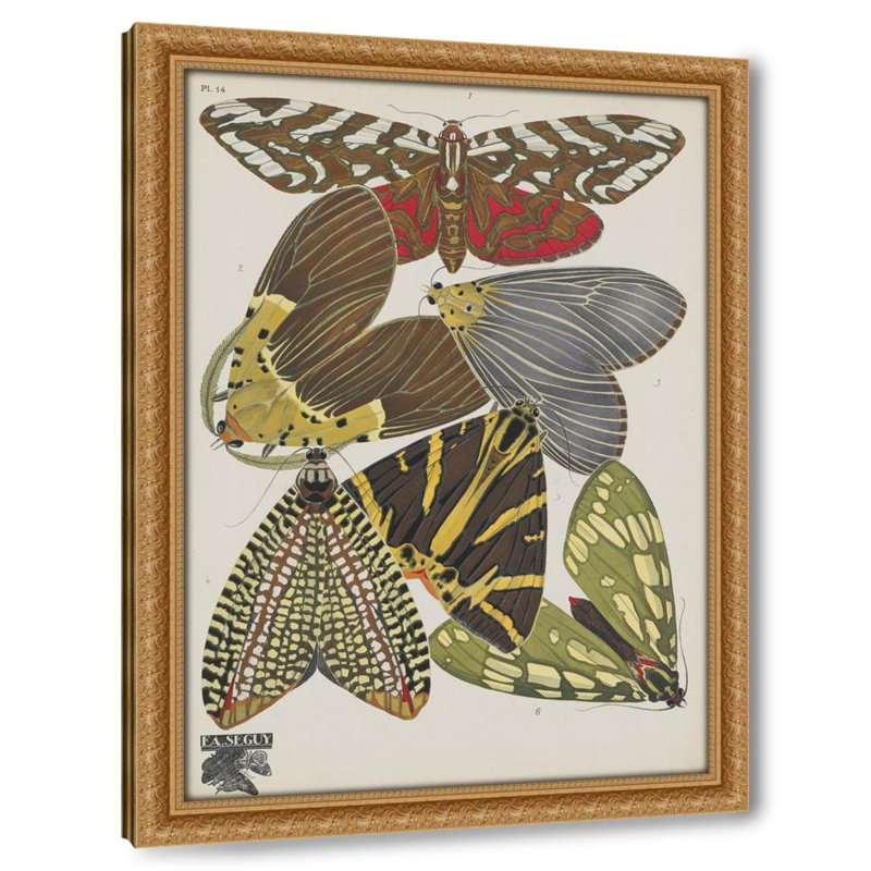 Papillons Pl.14 (1920)