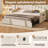 Cleston Upholstered Twin Daybed With Trundle-2091451854