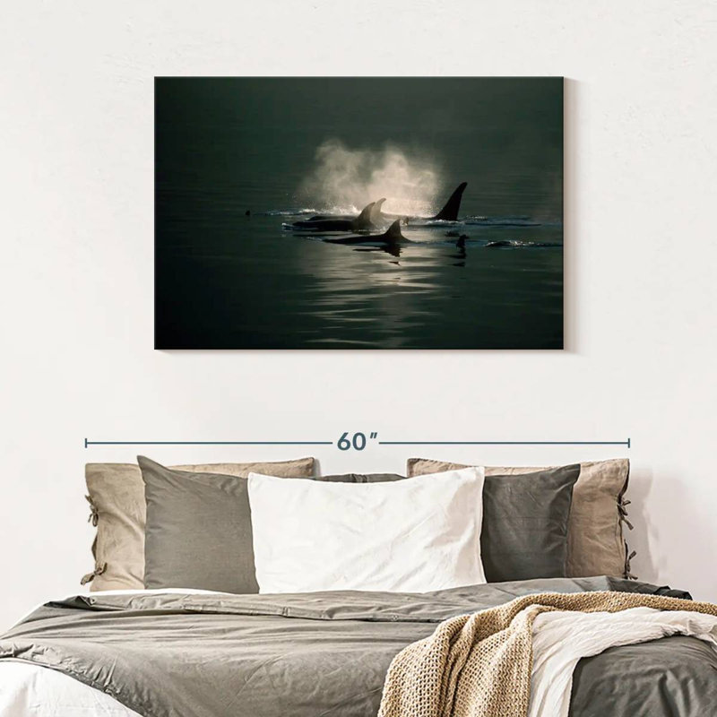 Brampt Orca Whale Pod, 30" H x 45" W