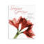 Plaque murale «Season's Greetings Holiday Amaryllis» par Albert Koetsier