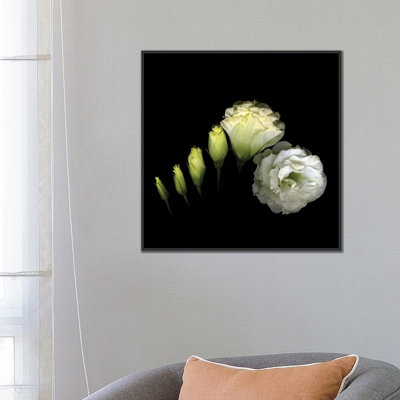 Circumvolution, impression sur toile tendue