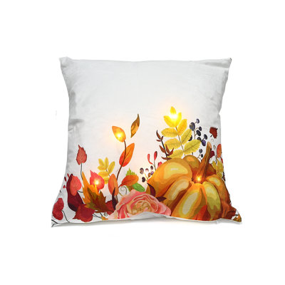 Coussin décoratif en velours