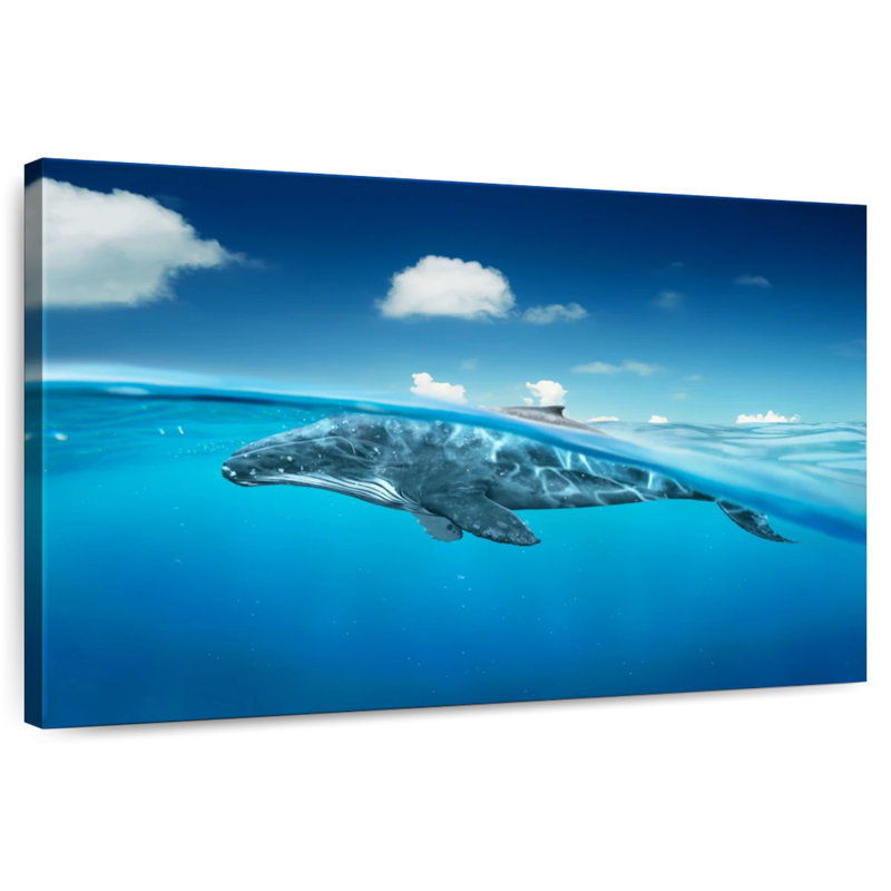 Brampt Whale Below The Surface, 8'' H x 12'' W