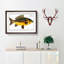 Royal Carp Fish by M.E. Bloch - Framed Print-55610628-55610631