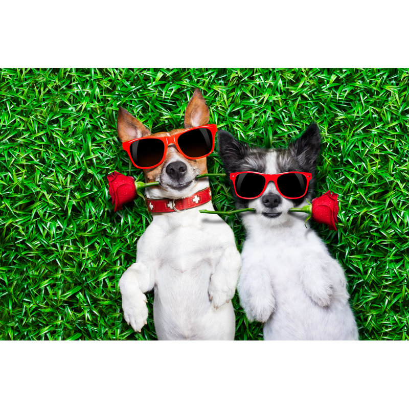 Love Couple Of Dogs - Wrapped Canvas Print, 30cm H x 46cm W x 3.8cm D