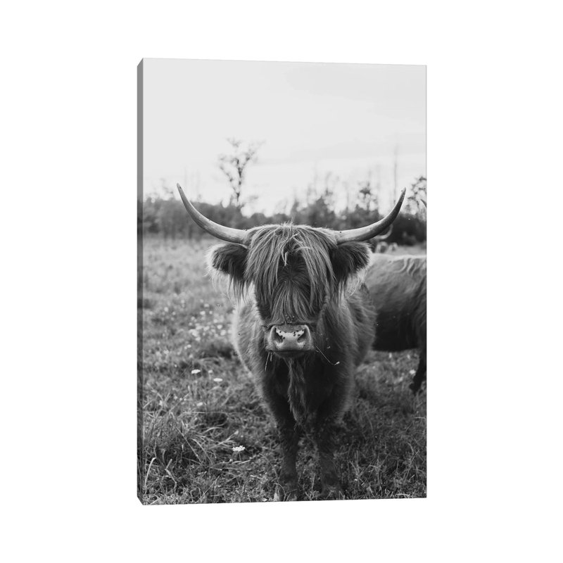 The Curious Cow Black And White by Chelsea Victoria - Wrapped Canvas Gallery-Wrapped Canvas Giclée, 20.32 cm H x 30.48 cm W