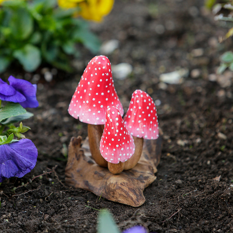 Champignon banane 5 x 3 x H 6 po