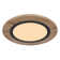 Terrin Plastic LED Flush Mount