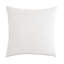 Tresco Square Pillow Cover & Insert