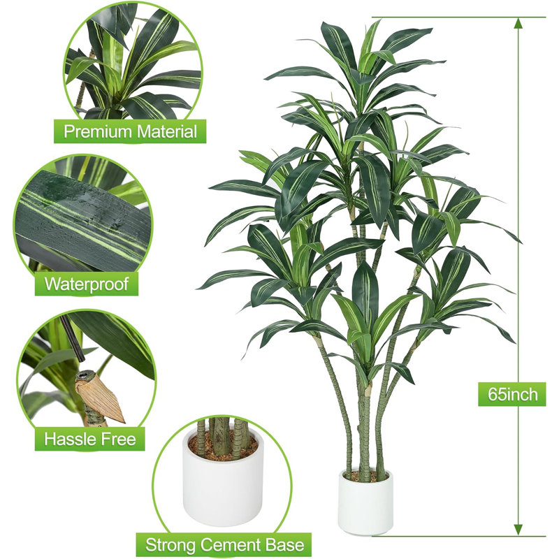 67cm Plant