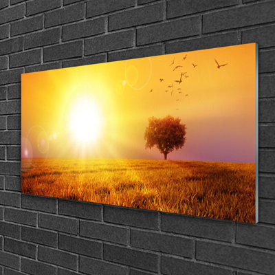 Landscape Sun Meadow - Unframed Photograph on Glass