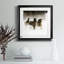Winter Roundup II - photographie avec cadre photo-532812901-532812899