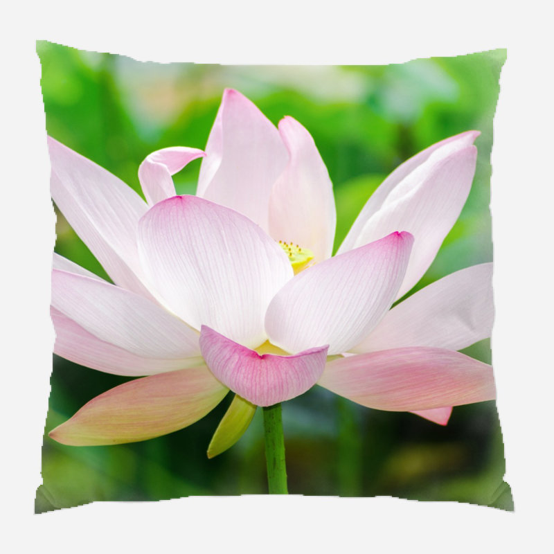 Agne Outdoor Reversible Throw Pillow, Microsuede, Indoor