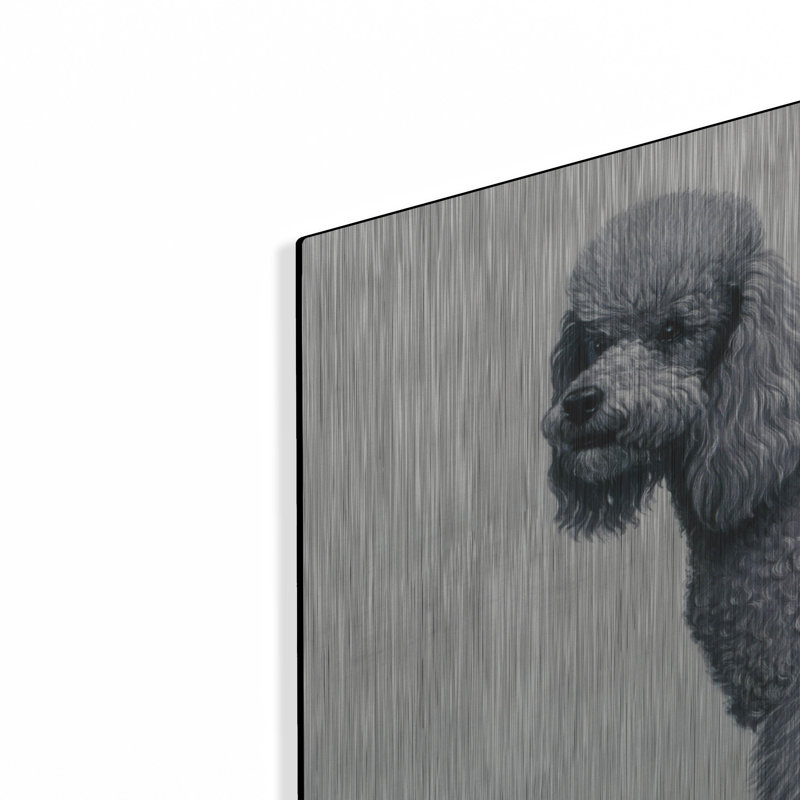 "Caniche" par Harro Maass, H 24 po x l 36 po