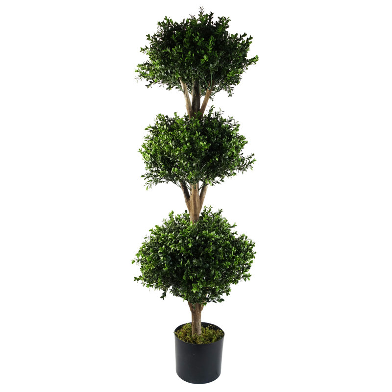 Annistyn 120cm Faux Buxus Tree in Pot