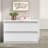 42'' Wide 2 -Drawer Steel File Cabinet-63360918