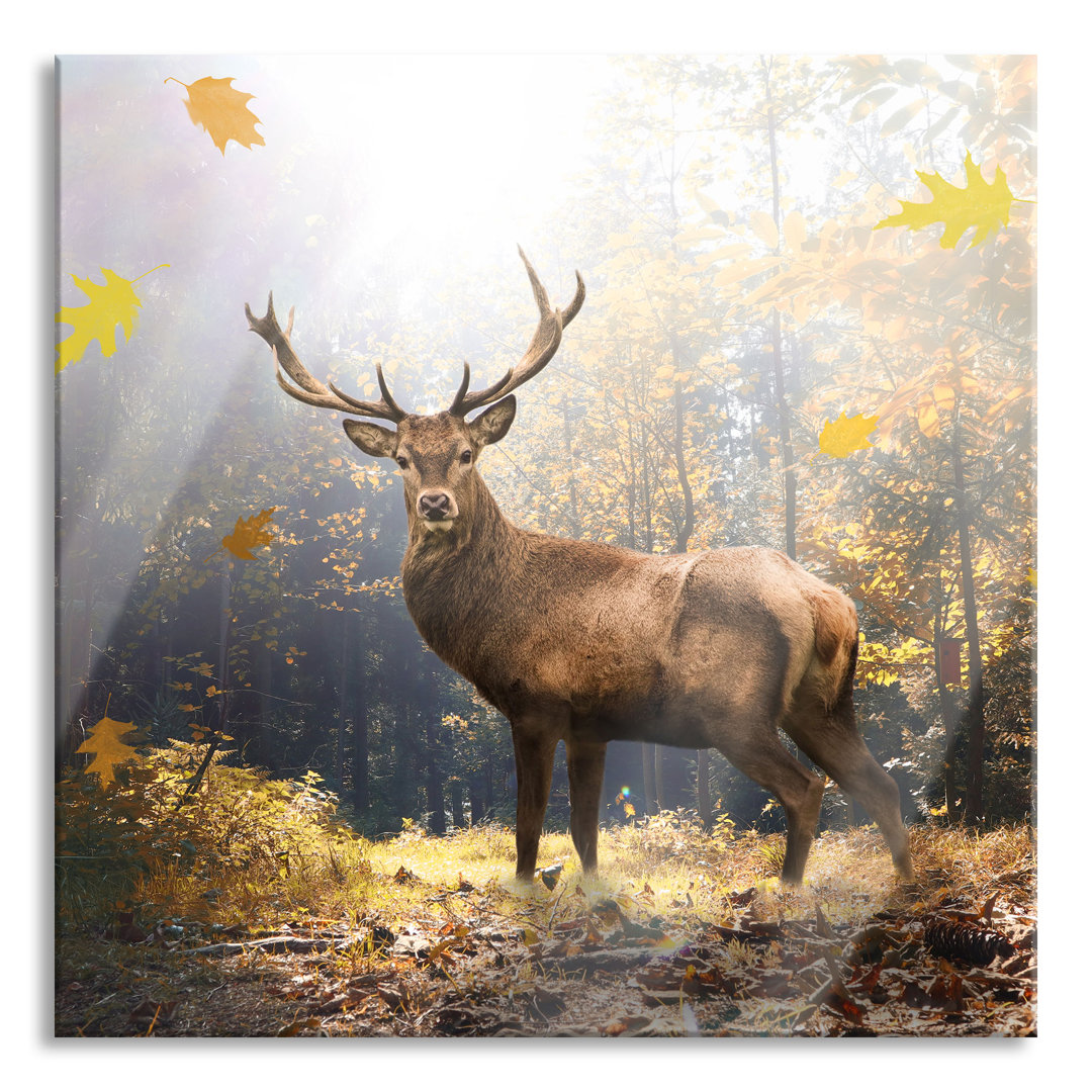 Glasbild Hirsch im Wald mit fallenden Blättern