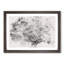 Dandelion Seed Sketch - Picture Frame Painting-56874198-56874197