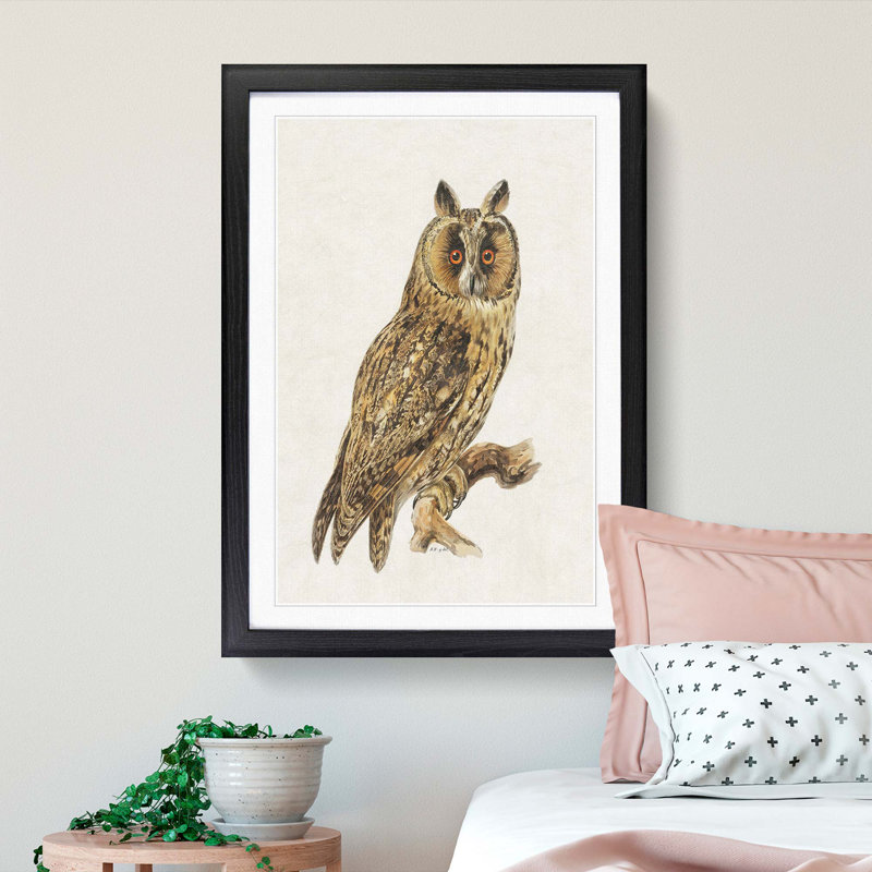Long-Eared Owl by Von Wright - Picture Frame Painting Print, 91cm H x 60cm W x 2cm D, Black