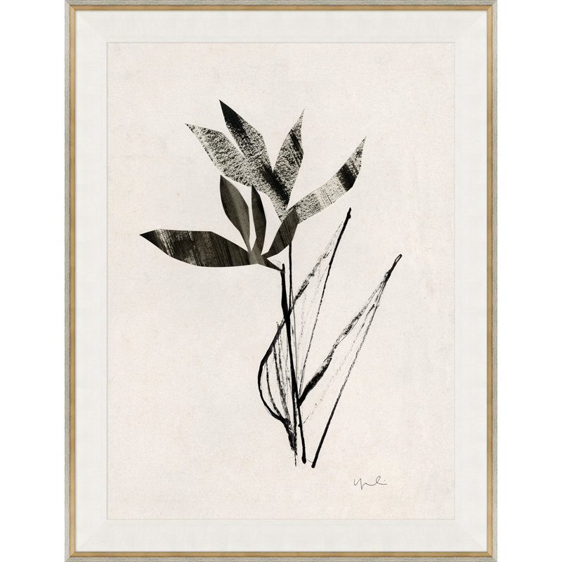 Noir II Giclee Print by Carrier And Company