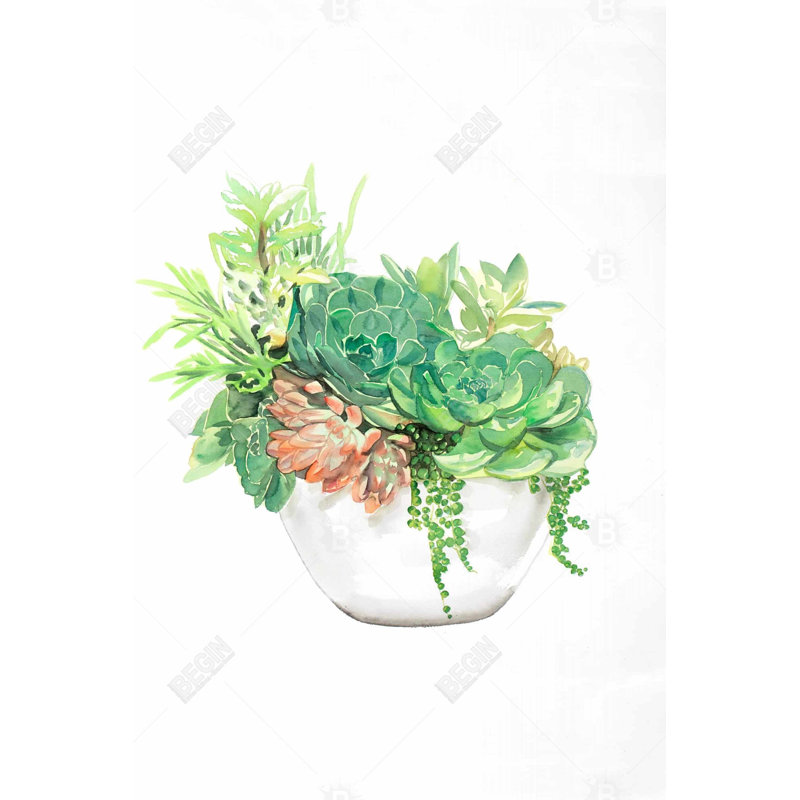 Succulent assortment in a pot Bath Mat with Non-Slip Backing - Quick Dry Memory Foam Bathroom Rug - Absorbent - Modern Plush Spa-Style - Machine Washable