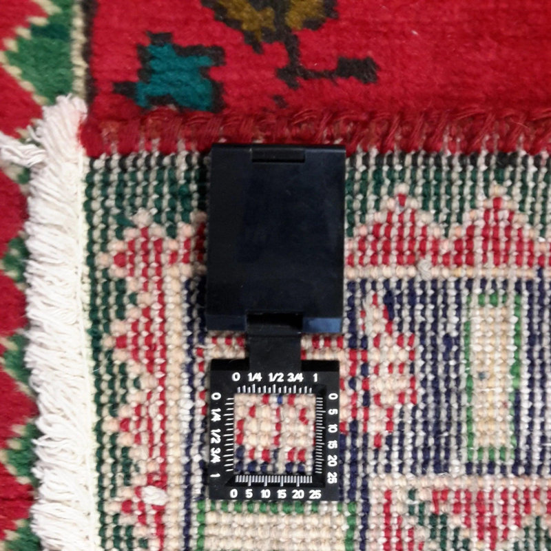 Niroy Oriental Area Rug in Red