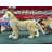 Standing Lion Cub Life Size Statue