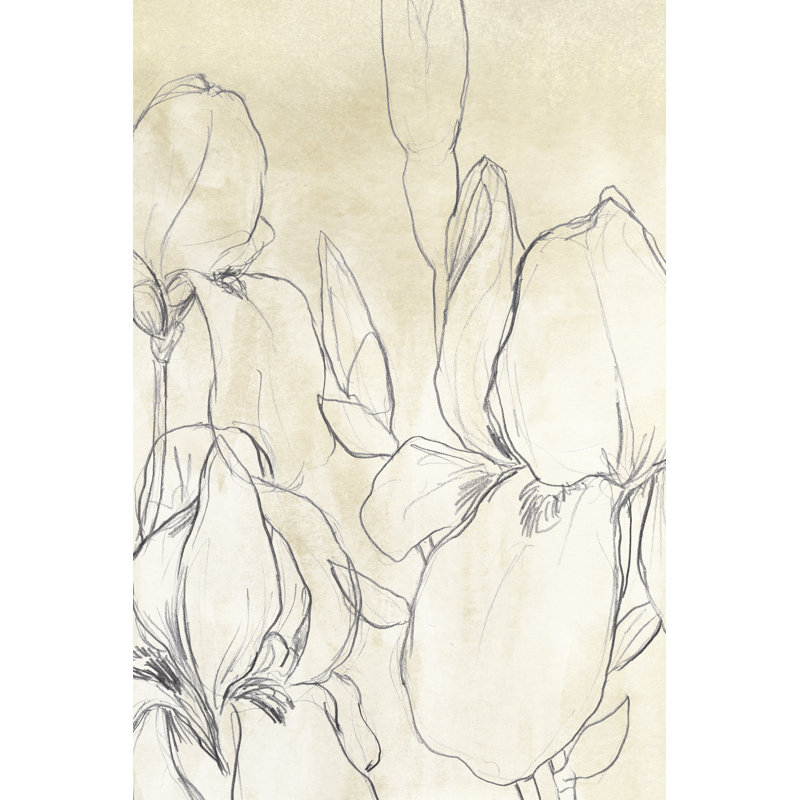 Iris Garden Sketch I - Drawing, 76cm H x 51cm W, Wrapped Canvas