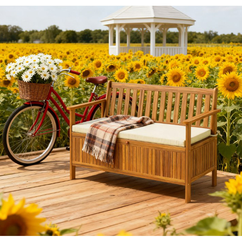 Banc de patio en bois, banc d'extérieur avec compartiment de rangement, banc de jardin avec coussin