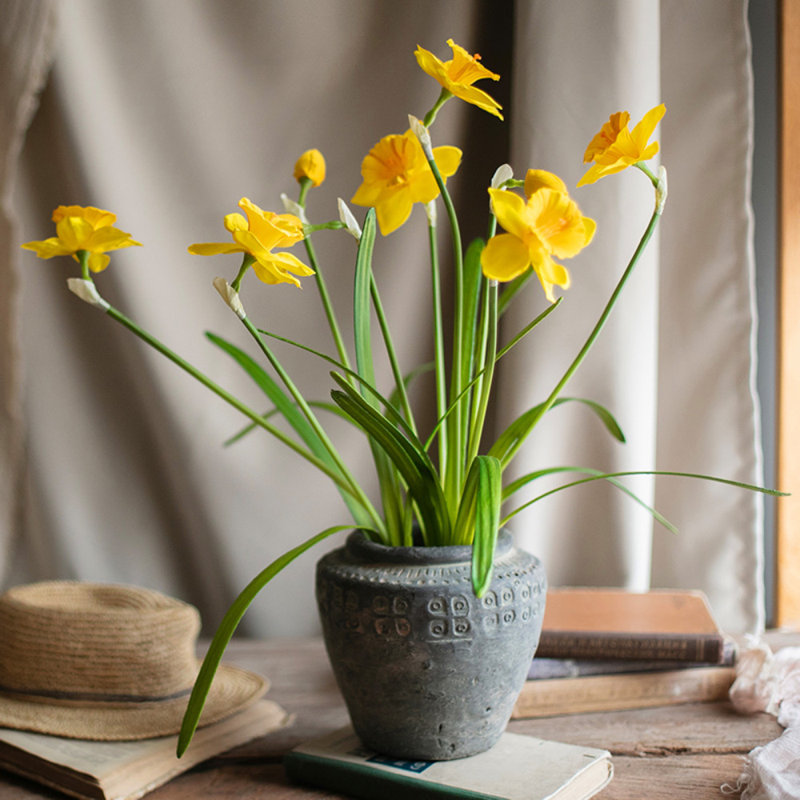 Daffodil Arrangement, Three Stems