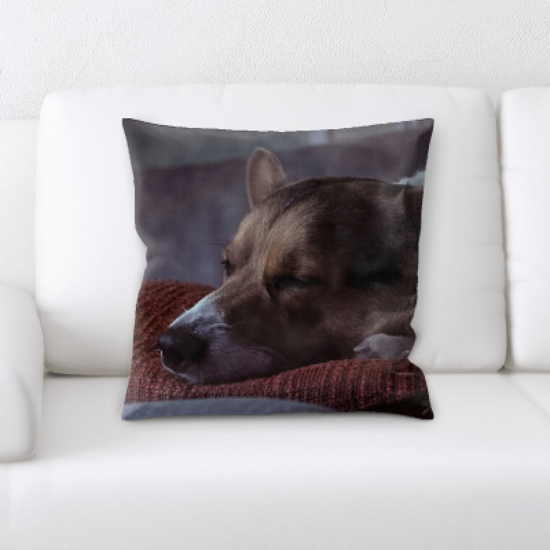 Coussin pour chien