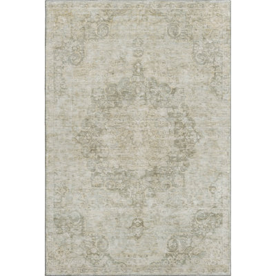 Premium Machine Washable Barry AMF1238 Global Rug