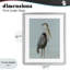 Coastal Pelican-2096644154-2096644148