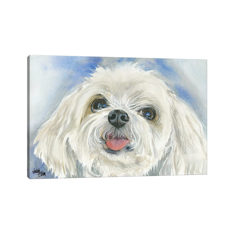 Matisse - Maltese by Judith Stein - Painting on Canvas, Wrapped Canvas, 30.48cm H x 45.72cm W x 1.9cm D