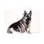 Cool And Calm by Soo Beng Lim - Wrapped Canvas Gallery-Wrapped Canvas Giclée-1019892925
