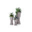 Suave Resin Pot Planter-49046251-49046241