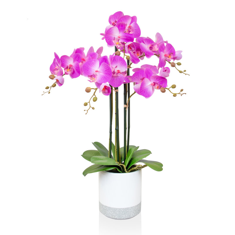 Polysilk Arrangement in Pot