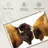 Brampt Bisons I-107854290