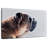 Brampt Dog Side Profile-108732916