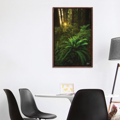 Peeking 1 Piece Wall Art on Canvas