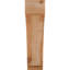 Attelle impériale du genou-29309856-31229277-31229364