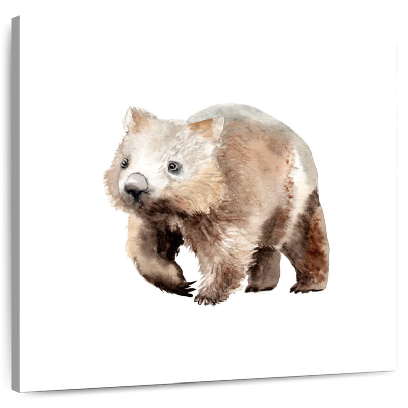 Crowle aquarelle Wombat, H 24 po x l 24 po