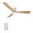 52" Striver LED Smart Flush Mount Ceiling Fan with Remote Control and Light Kit Included.