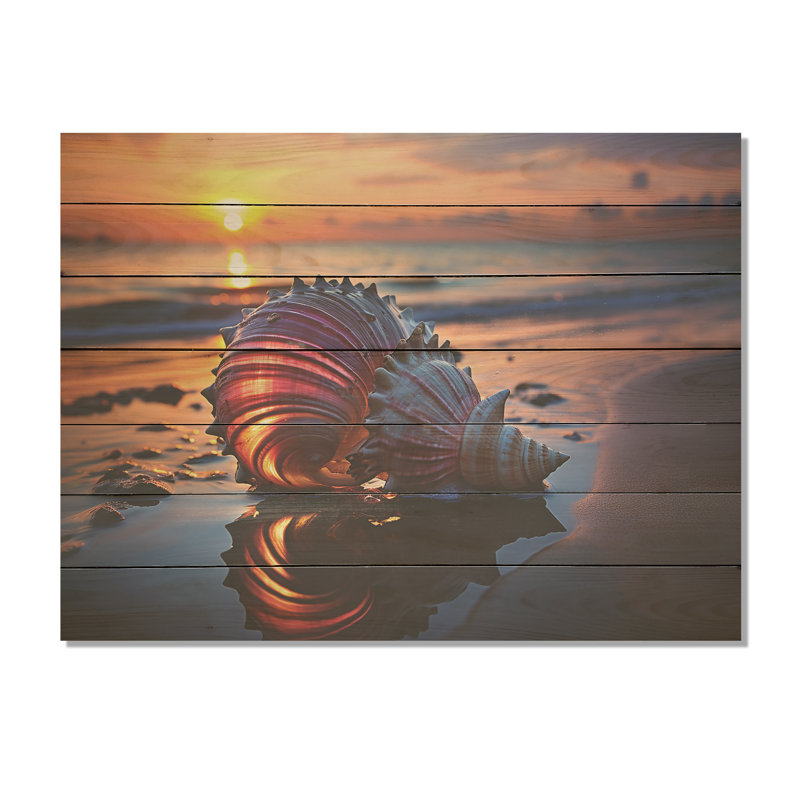 Sunset Shoreline Treasures V - plage sur bois, H 10 po x l 20 po x P 0,78 po