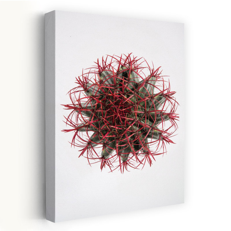 Art contemporain contemporain avec cactus, H 24 po x l 16 po