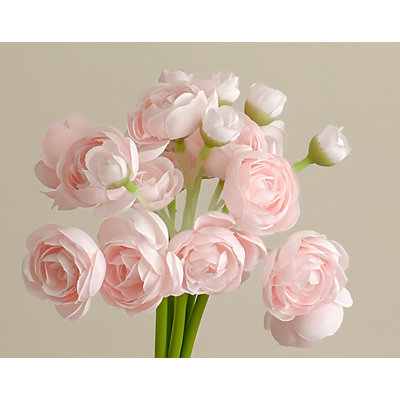 Bouquet de pivoines