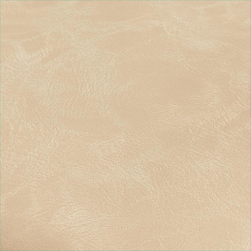 Fauteuil d'appoint pour le salon, fauteuil moderne en similicuir, conception minimaliste aérée avec protection de plancher