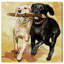 «Animals Playtime Dogs and Puppies», impression sur toile tendue-22342567-68880208-120017729