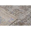 Oriental Area Rug in Gray