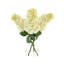 Luxe Cone Hydrangea Arrangement-69486215